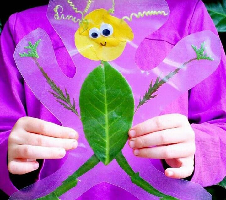 13102679_1619046398416365_6670929247753992824_n