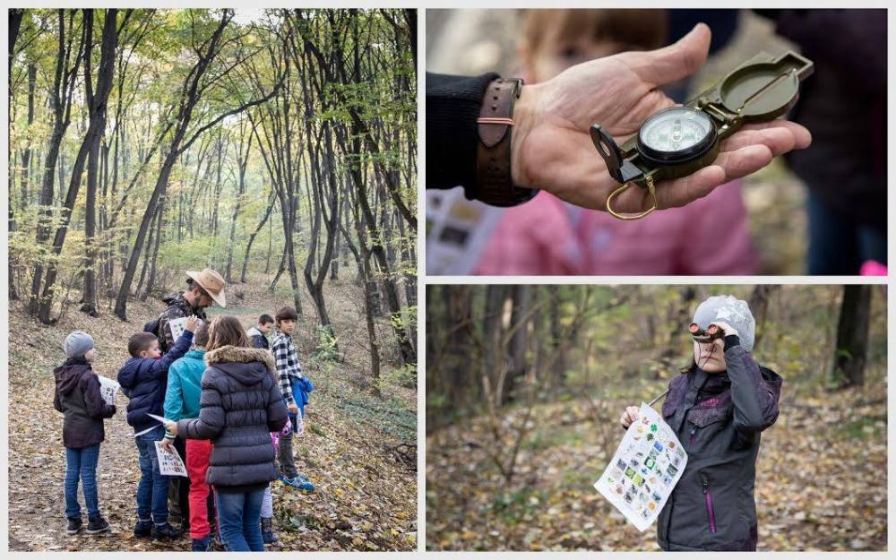 14940211_335278110169400_1078687285133372455_o