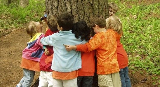 15107368_338725943157950_7433995040150855652_n