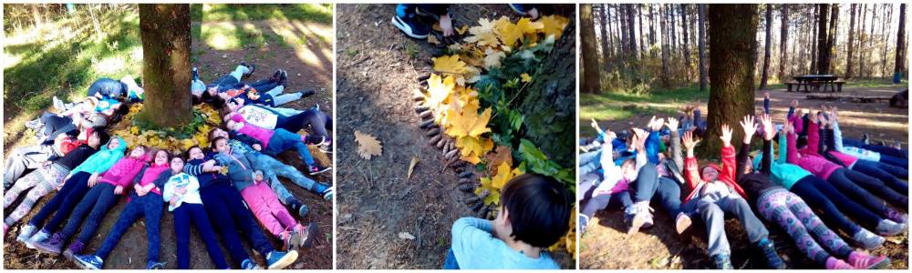 15123245_341098142920730_1996368837657108850_o